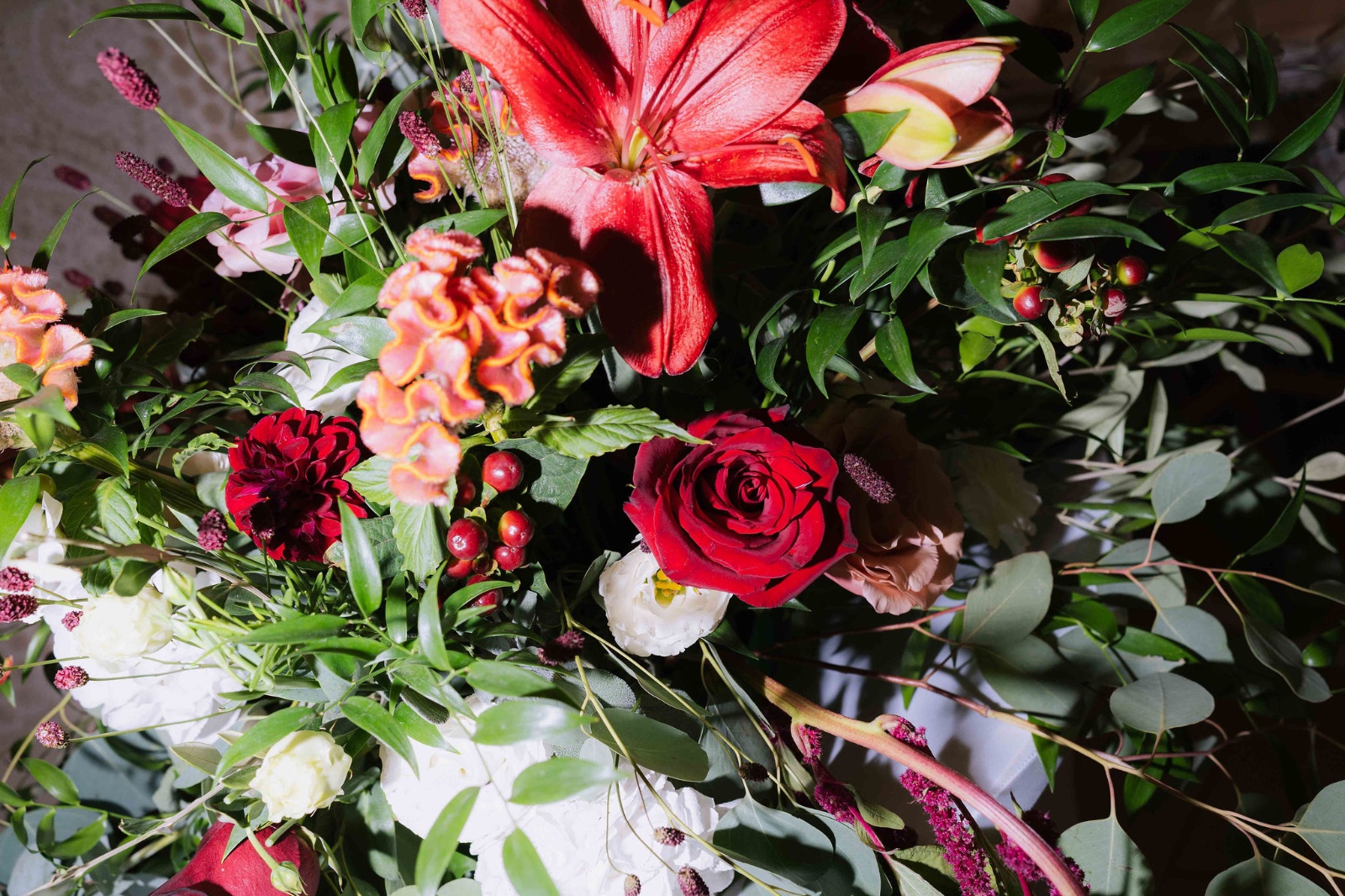 WhatsApp Image 2025-11-18 at 16.37.33